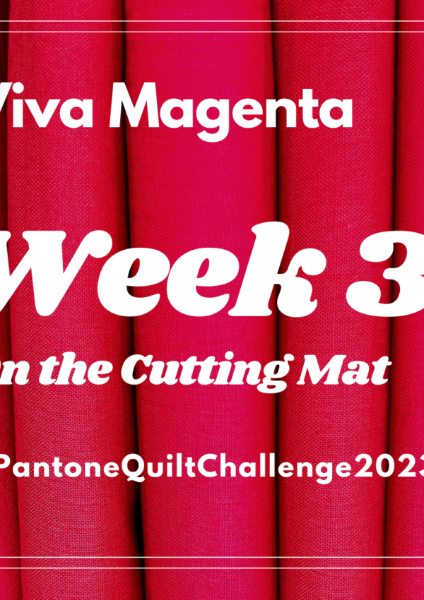 Pantone Quilt Challenge – Week 3