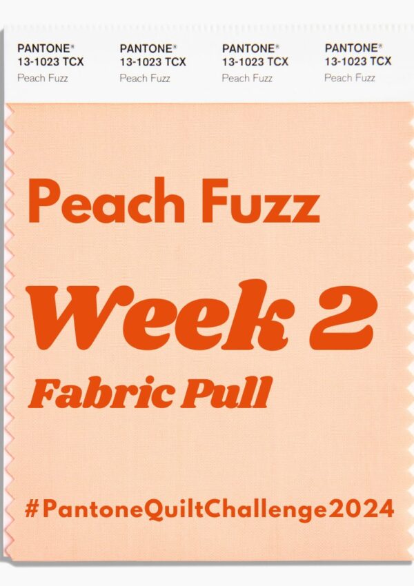 Pantone Quilt Challenge – Week 2