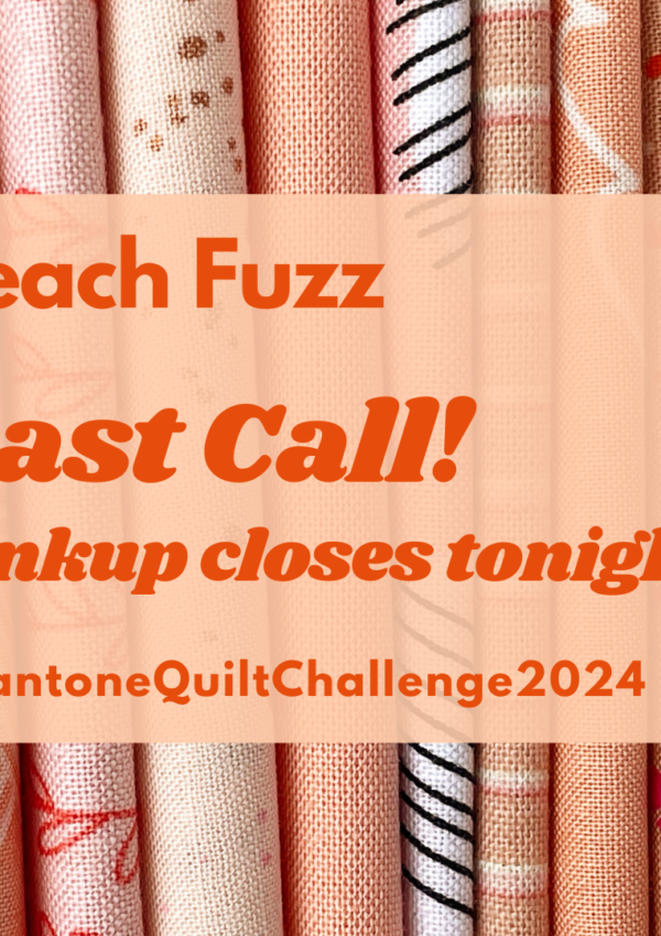 Pantone Quilt Challenge – Last Call!