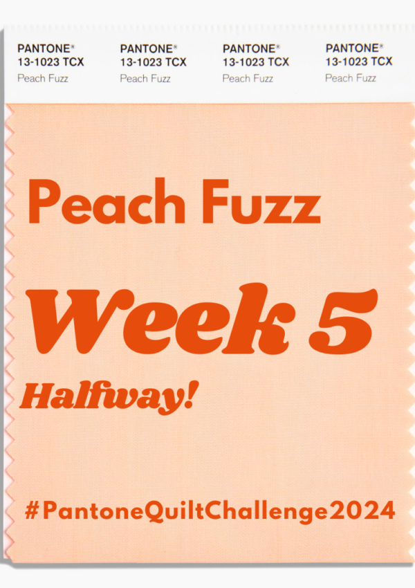 Pantone Quilt Challenge – Week 5