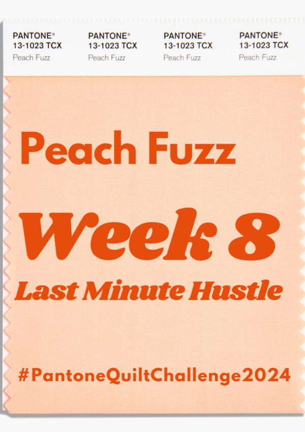 Pantone Quilt Challenge – Final Week!