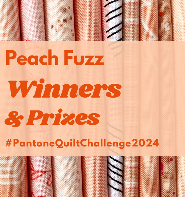 Pantone Quilt Challenge – Winners