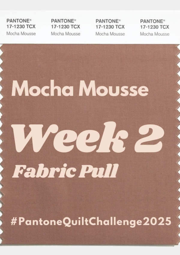 Pantone Quilt Challenge – Week 2 & Judges